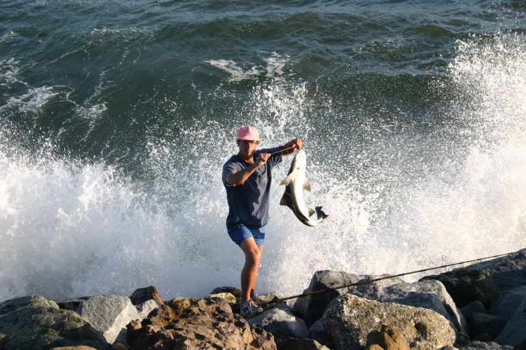 Read more about the article Fishing in Malibu